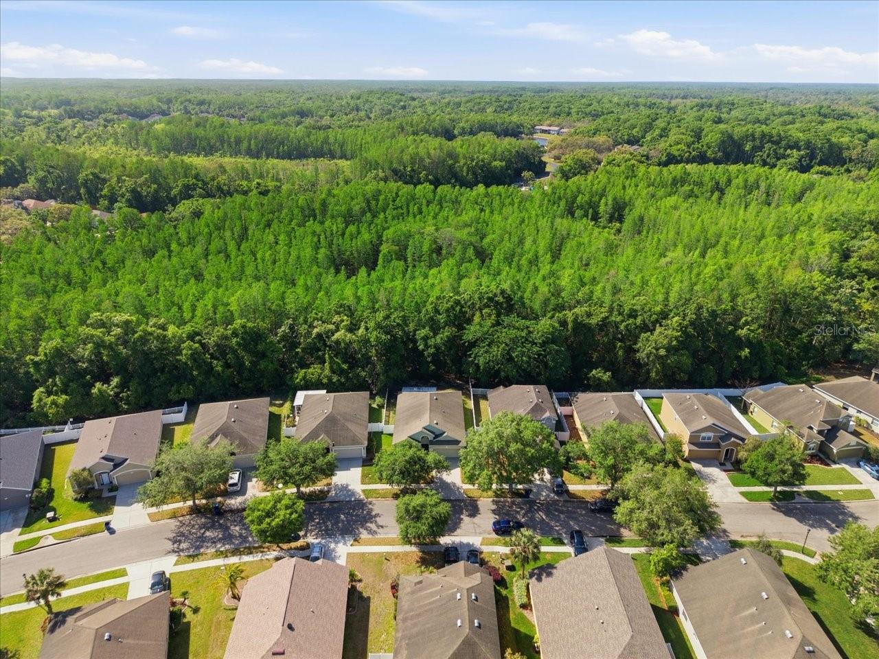 11844 COLONY LAKES BLVD, NEW PORT RICHEY, FL, 34654