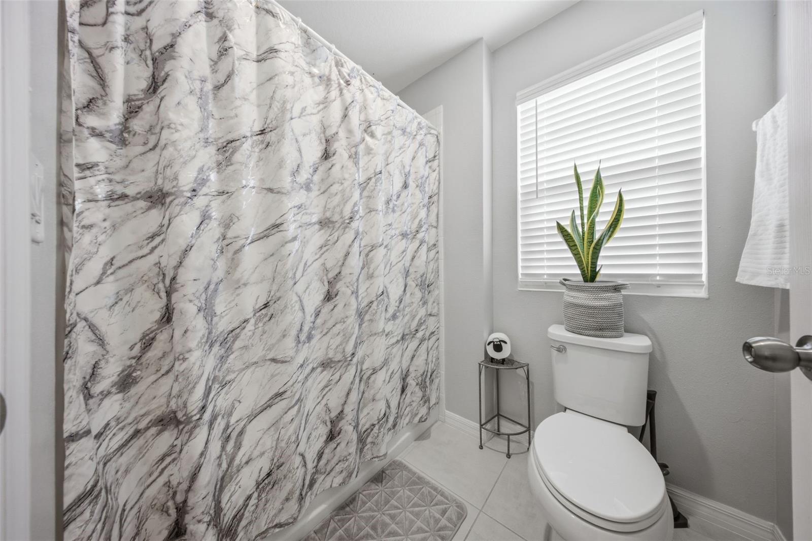 1669 SWAN SWIM DR, DAVENPORT, FL, 33837