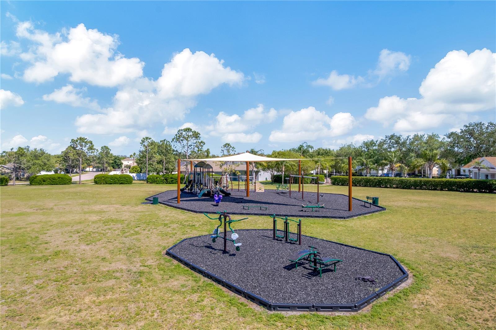 3415 CLOVER BLOSSOM CIR, LAND O LAKES, FL, 34638