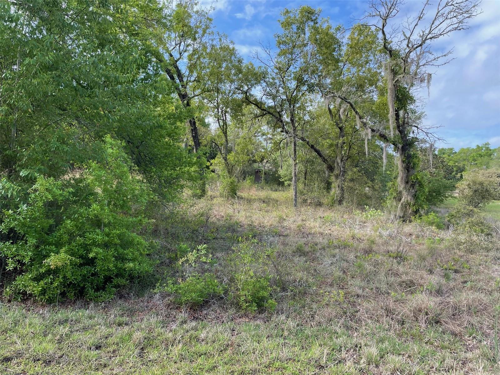 LOT 4 SW LAKELAND HEIGHTS AVE, DUNNELLON, FL, 34431