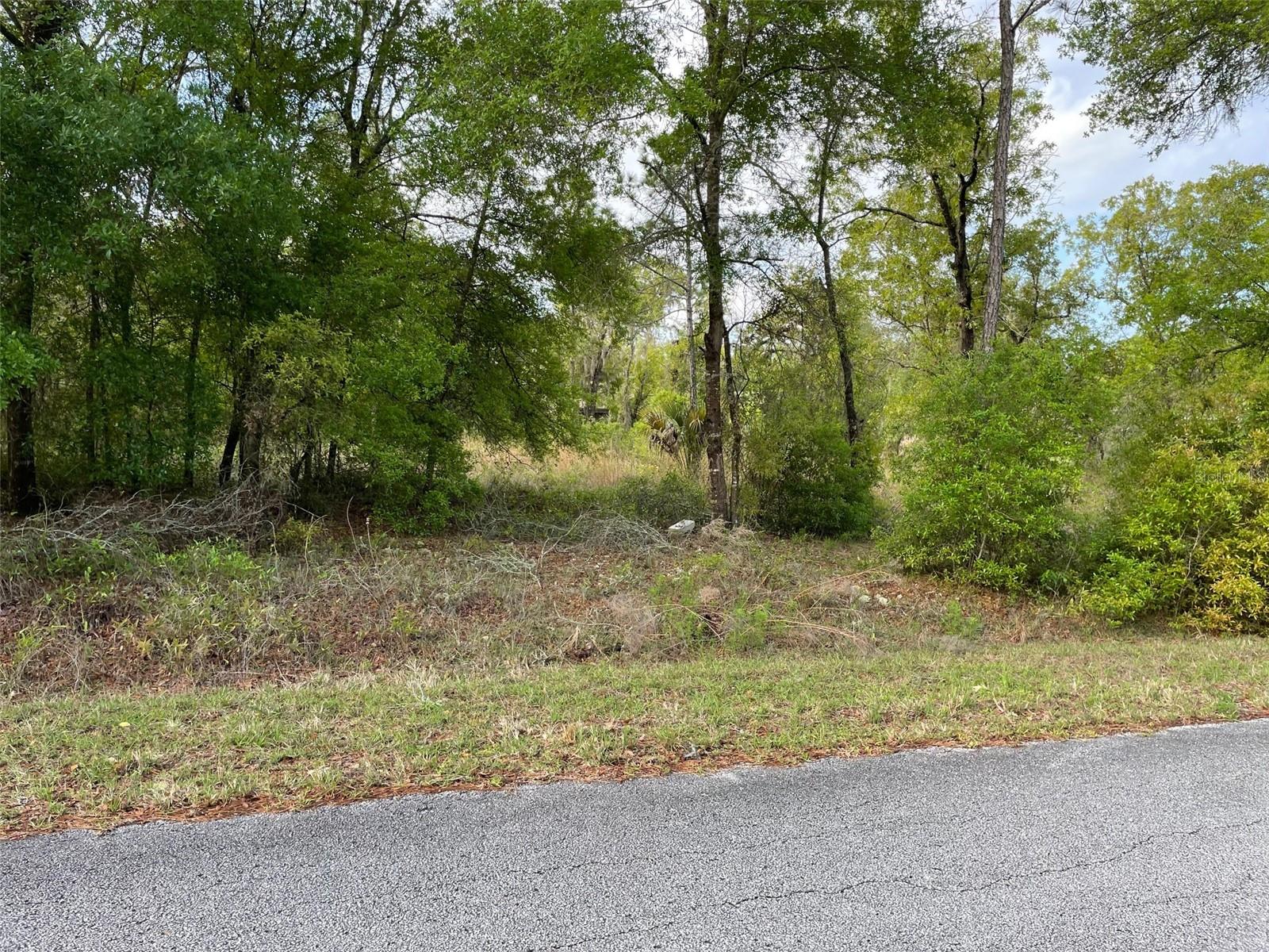LOT 4 SW LAKELAND HEIGHTS AVE, DUNNELLON, FL, 34431