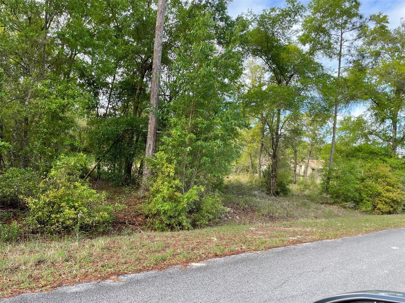 LOT 4 SW LAKELAND HEIGHTS AVE, DUNNELLON, FL, 34431
