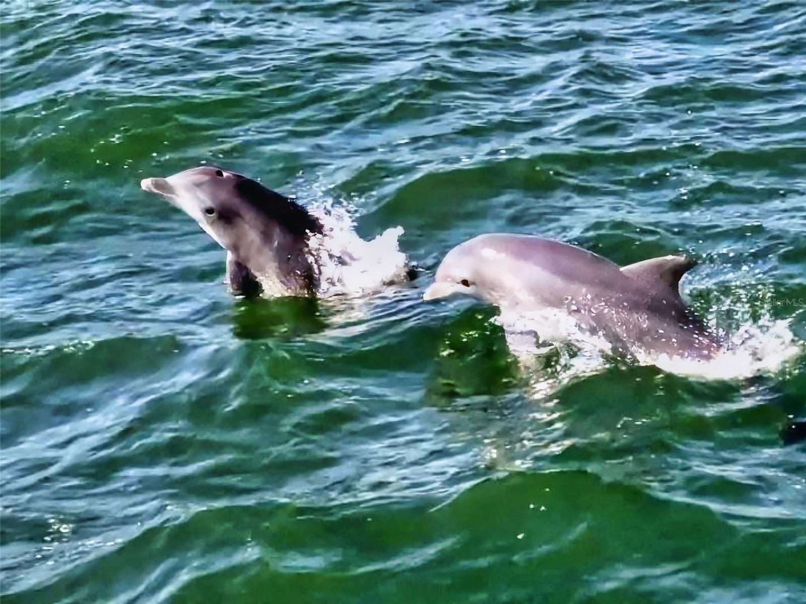 402 BOUCHELLE DR #206, NEW SMYRNA BEACH, FL, 32169