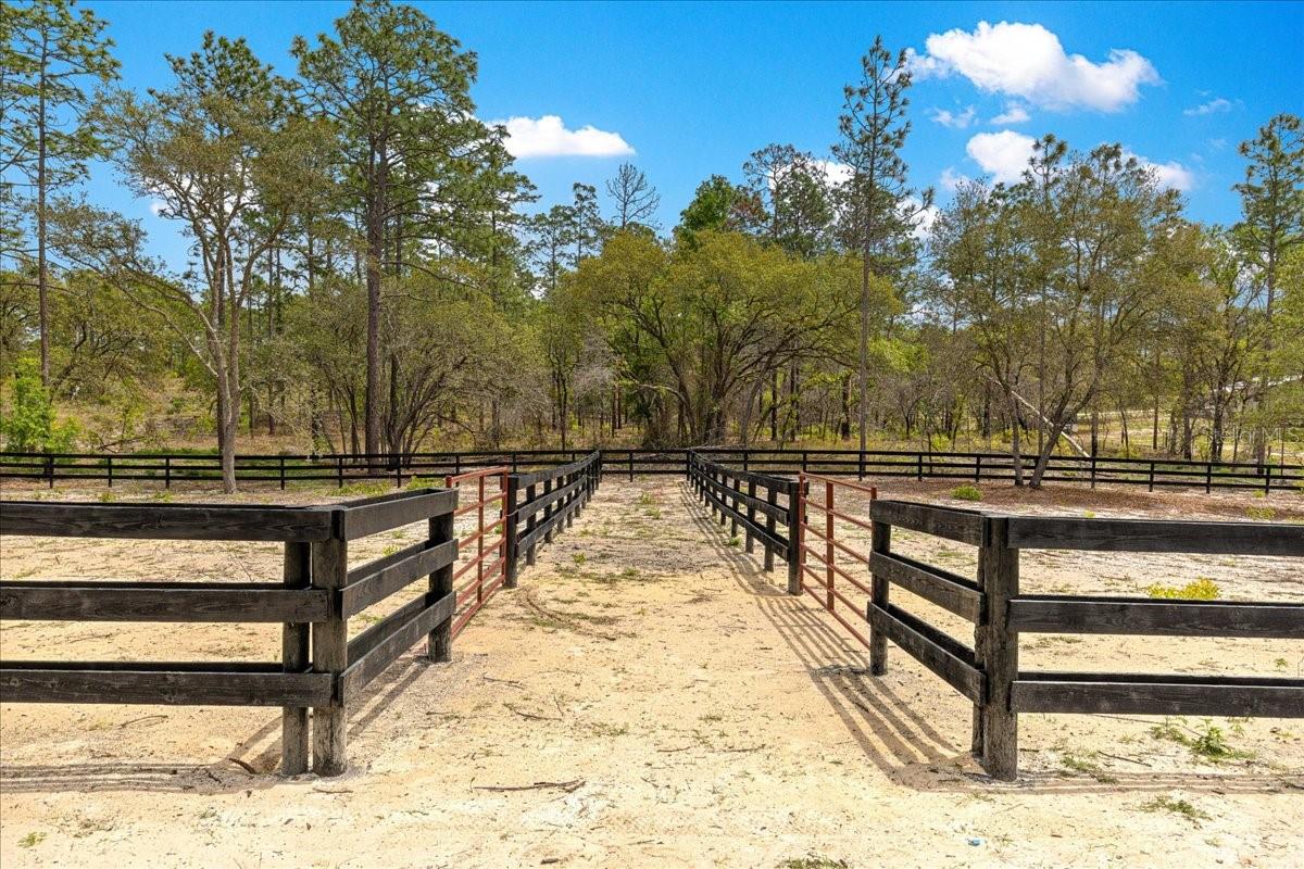 2271 SE 147TH AVE, MORRISTON, FL, 32668