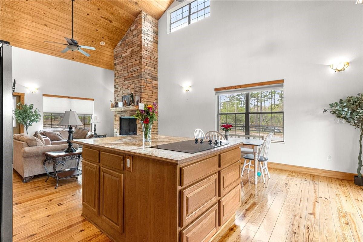 2271 SE 147TH AVE, MORRISTON, FL, 32668