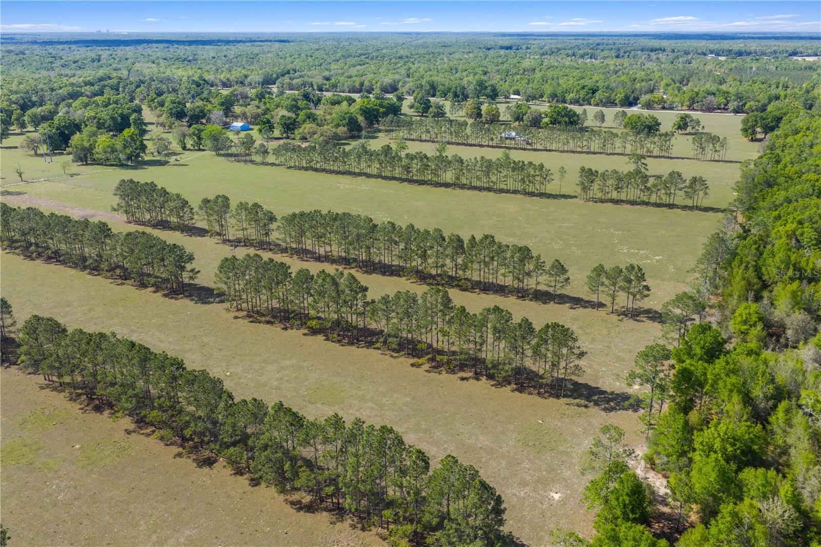 4639 SW WILSON SPRINGS RD, FORT WHITE, FL, 32038