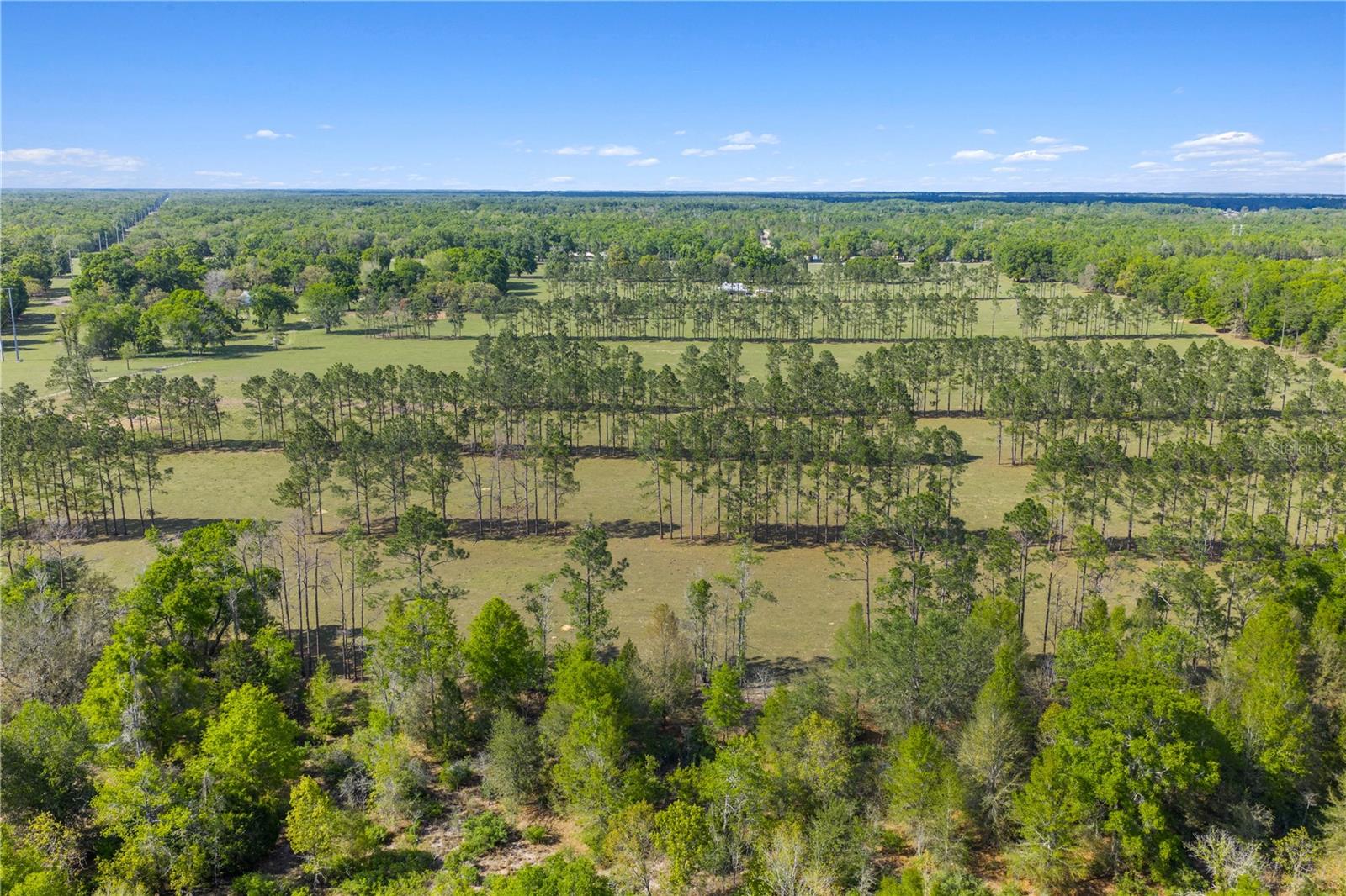 4639 SW WILSON SPRINGS RD, FORT WHITE, FL, 32038
