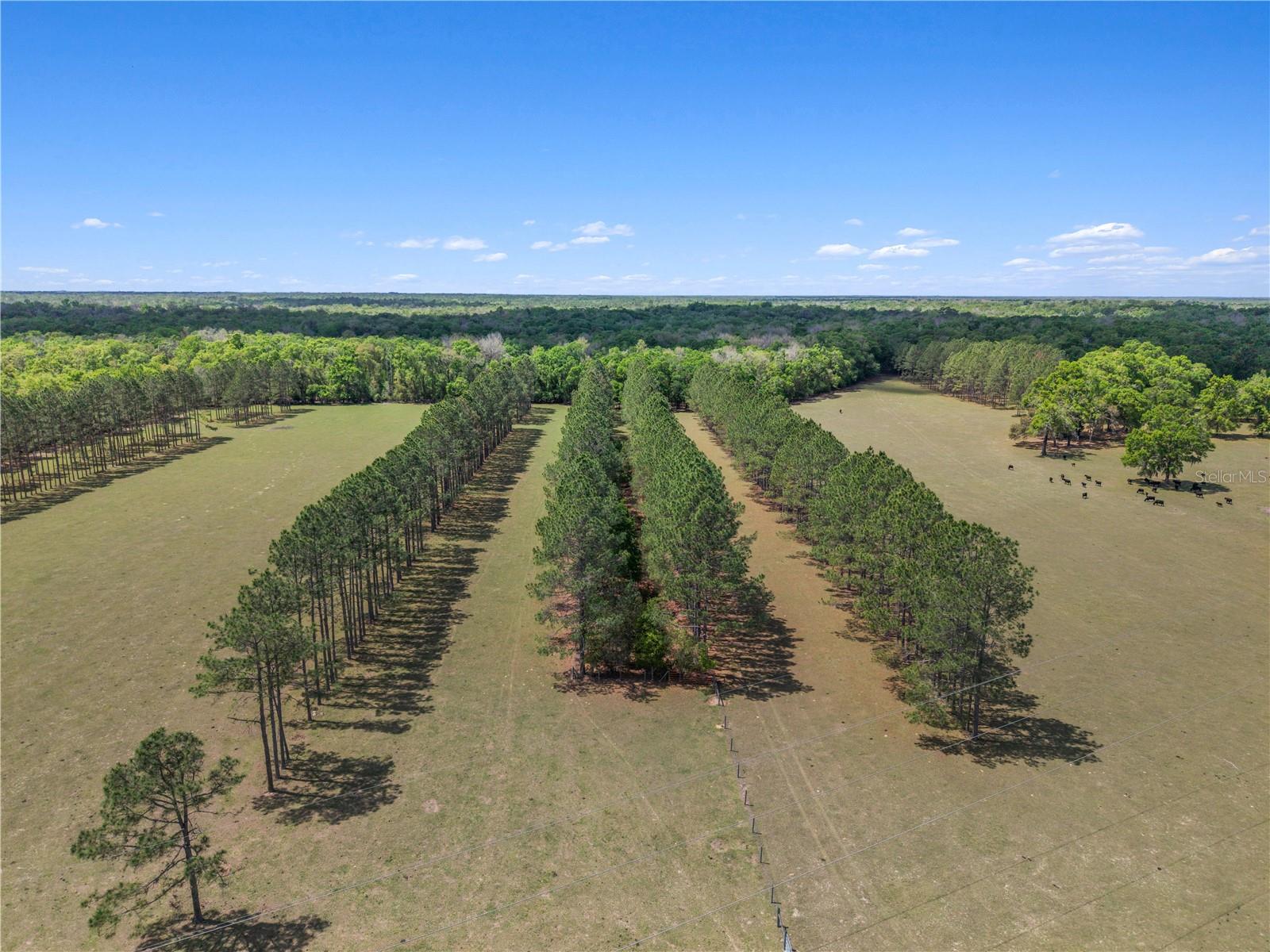 4639 SW WILSON SPRINGS RD, FORT WHITE, FL, 32038