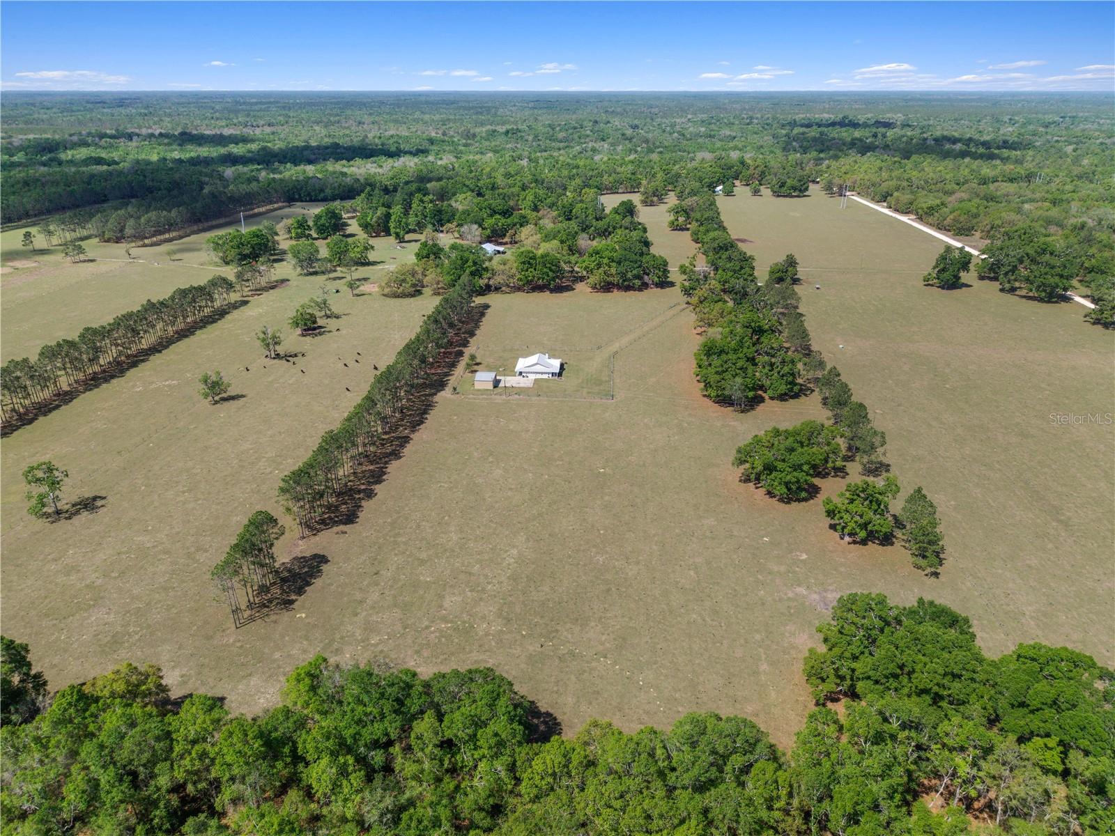 4639 SW WILSON SPRINGS RD, FORT WHITE, FL, 32038