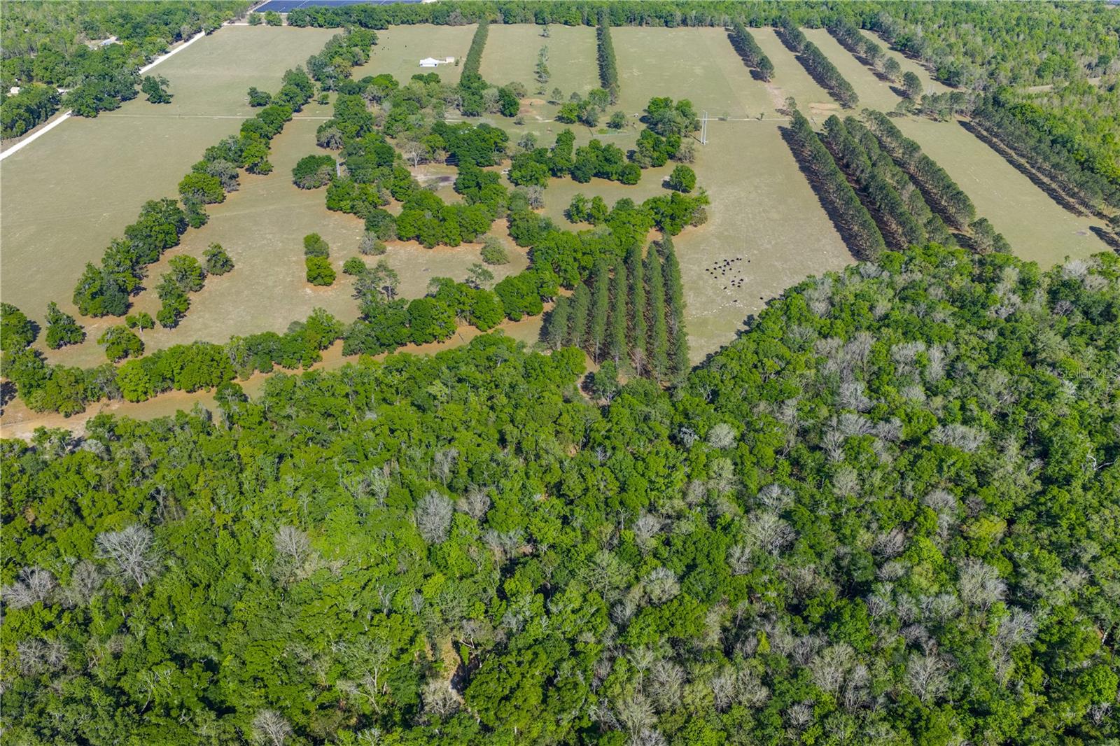 4639 SW WILSON SPRINGS RD, FORT WHITE, FL, 32038