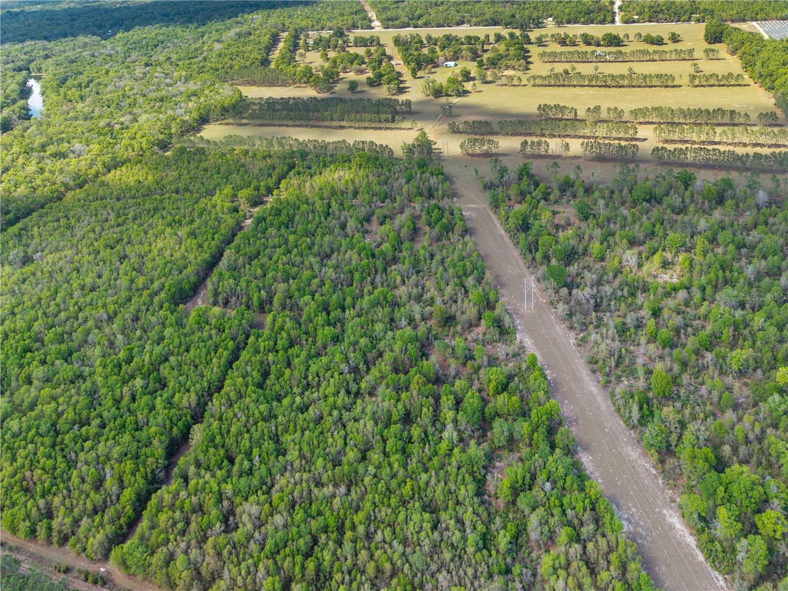 4639 SW WILSON SPRINGS RD, FORT WHITE, FL, 32038