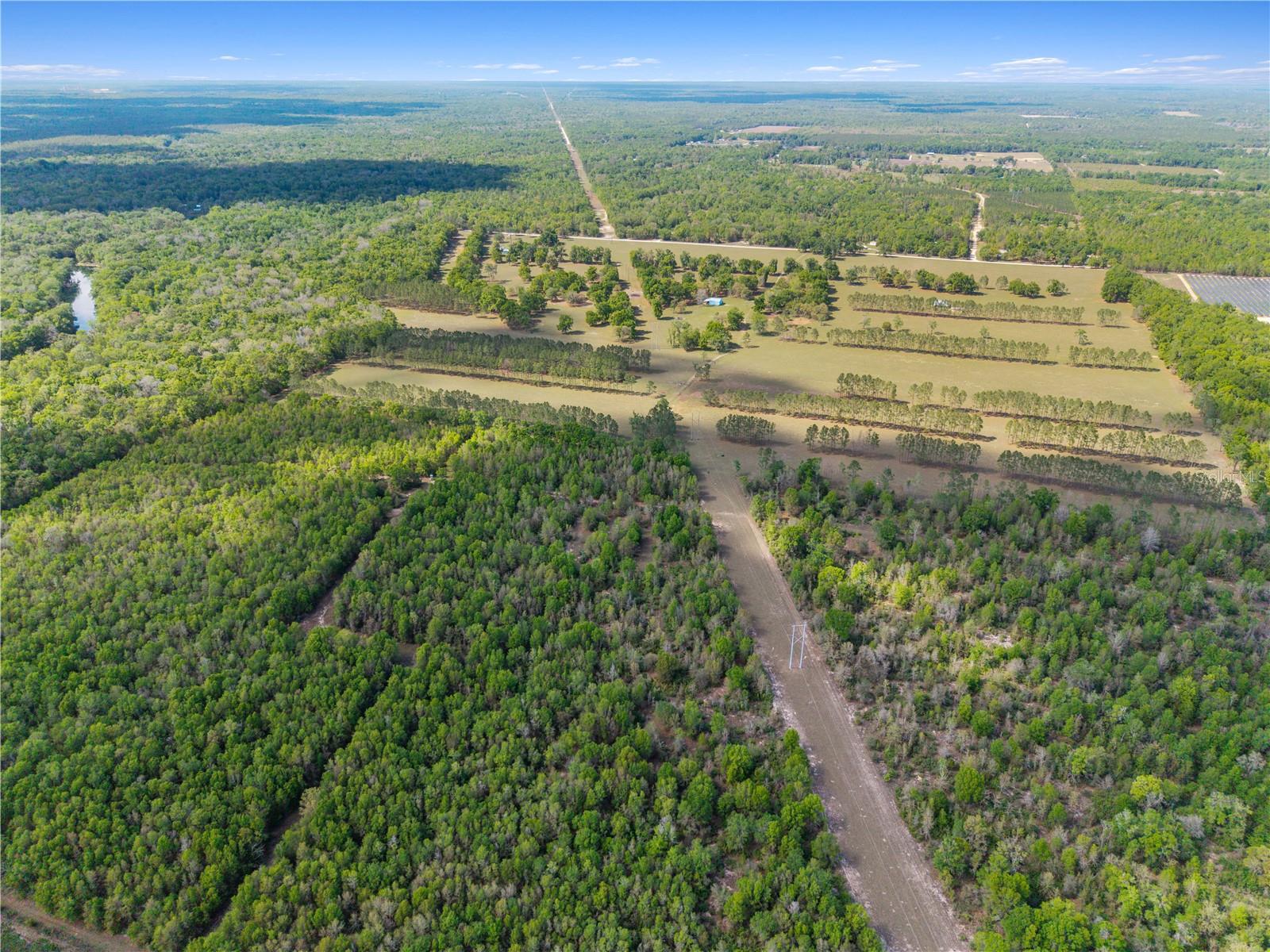 4639 SW WILSON SPRINGS RD, FORT WHITE, FL, 32038