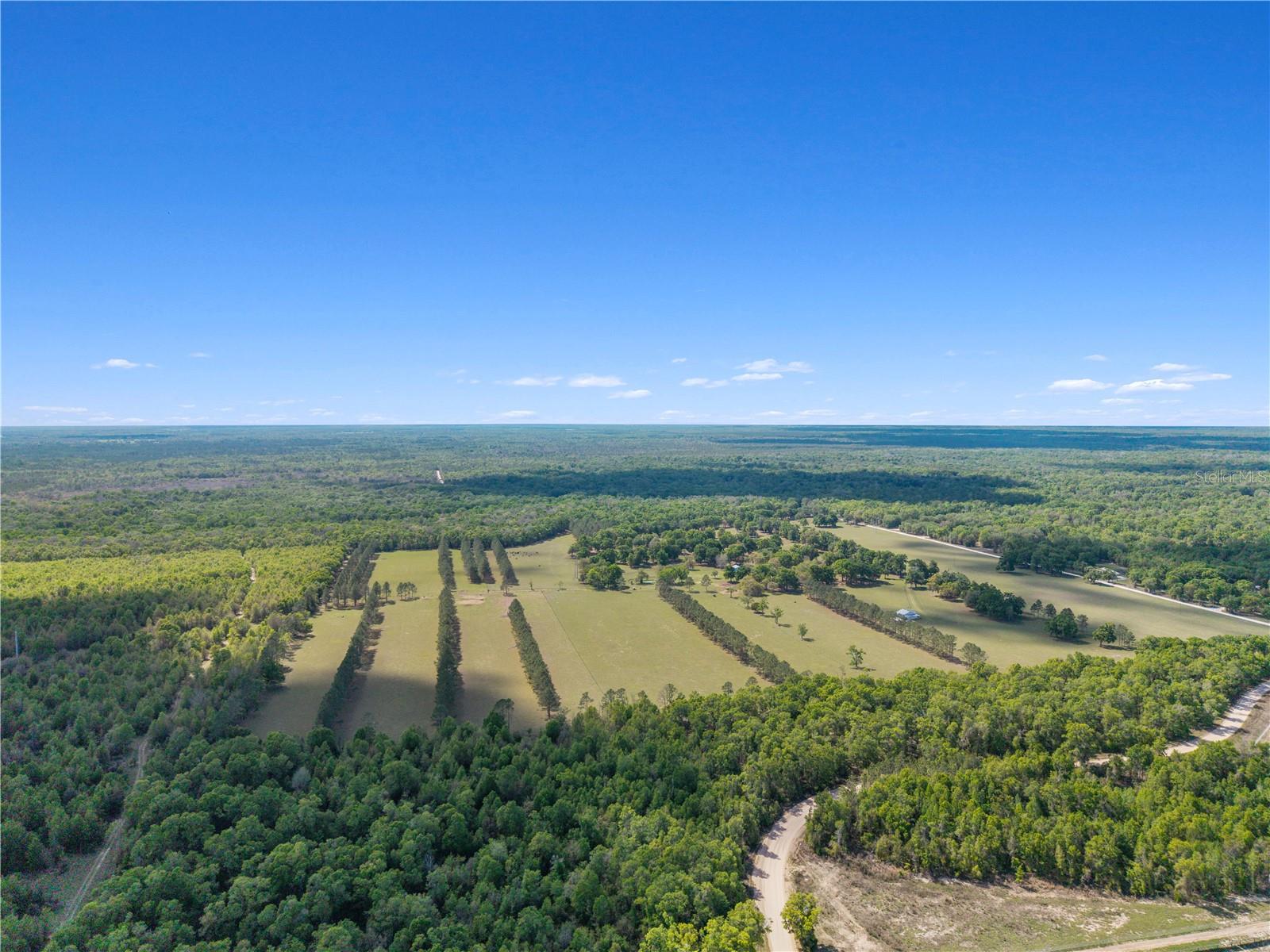 4639 SW WILSON SPRINGS RD, FORT WHITE, FL, 32038