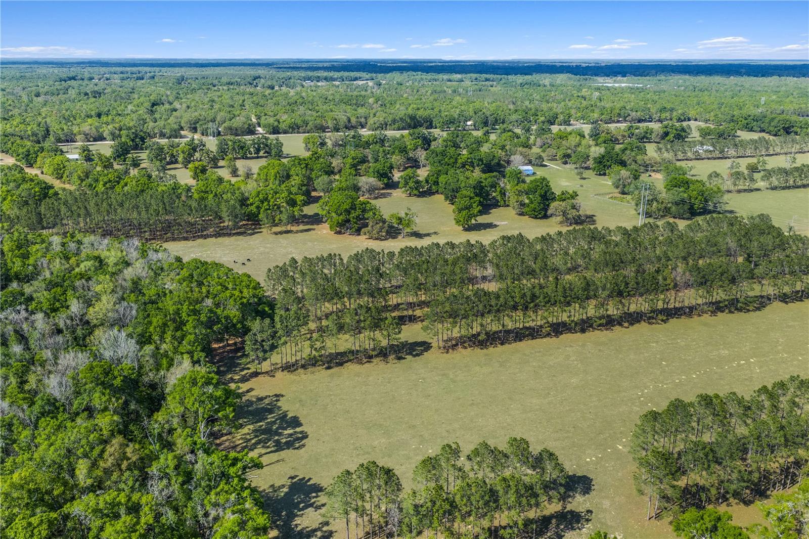 4639 SW WILSON SPRINGS RD, FORT WHITE, FL, 32038