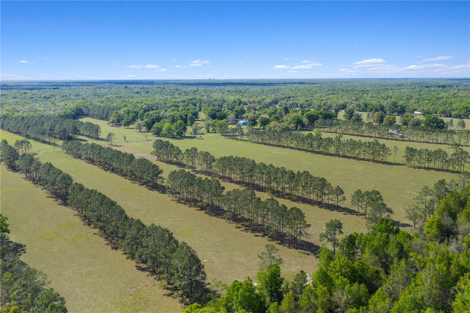 4639 SW WILSON SPRINGS RD, FORT WHITE, FL, 32038