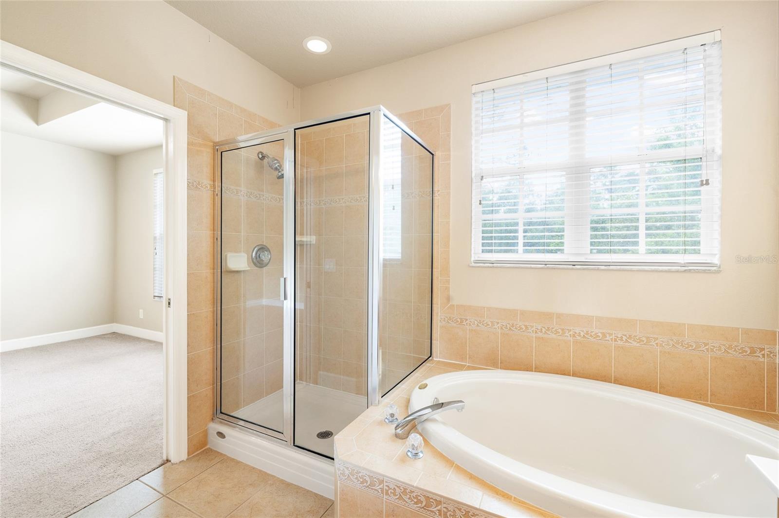 14543 MIRABELLE VISTA CIR, TAMPA, FL, 33626