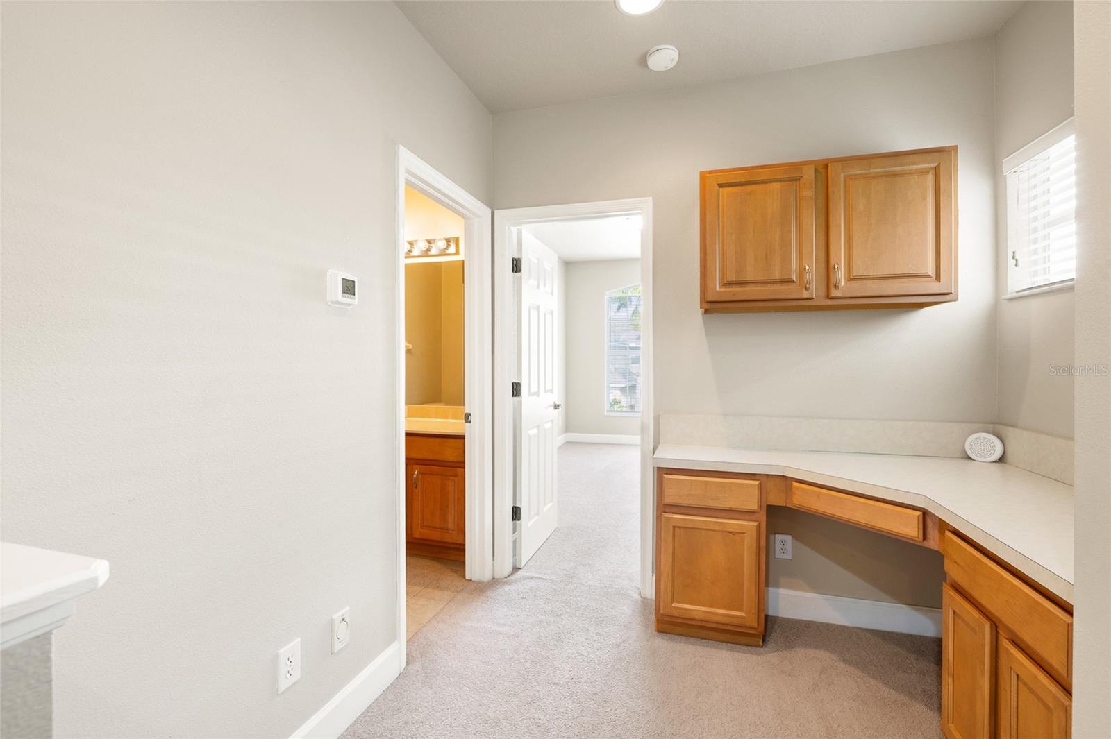 14543 MIRABELLE VISTA CIR, TAMPA, FL, 33626