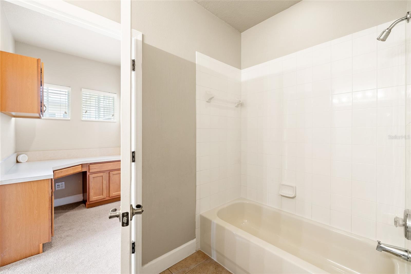 14543 MIRABELLE VISTA CIR, TAMPA, FL, 33626