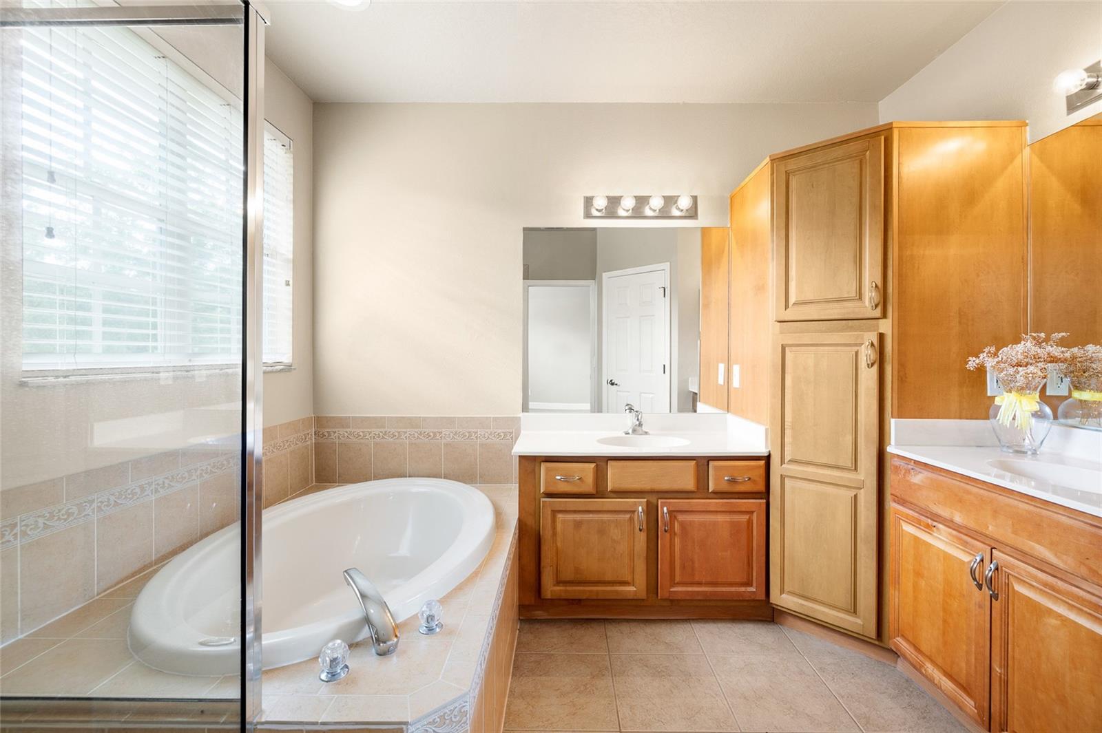 14543 MIRABELLE VISTA CIR, TAMPA, FL, 33626