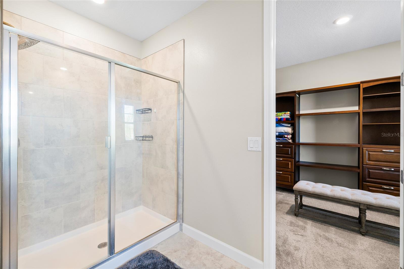 13208 SATIN LILY DR, RIVERVIEW, FL, 33579