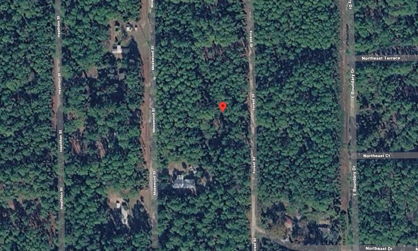 143 FOREST ST, GEORGETOWN, FL, 32139