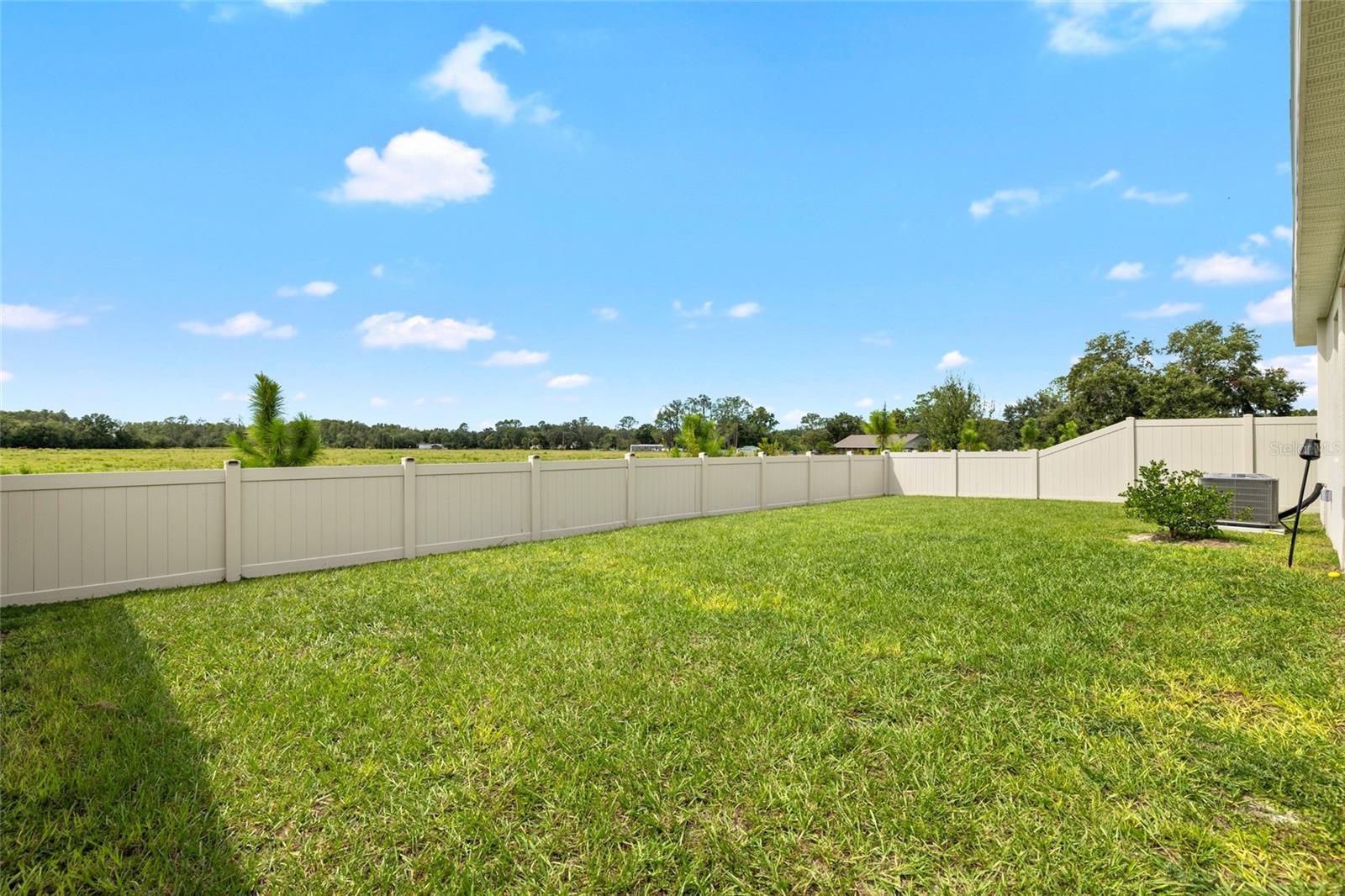 6359 BURNING OPAL BND, LAND O LAKES, FL, 34638