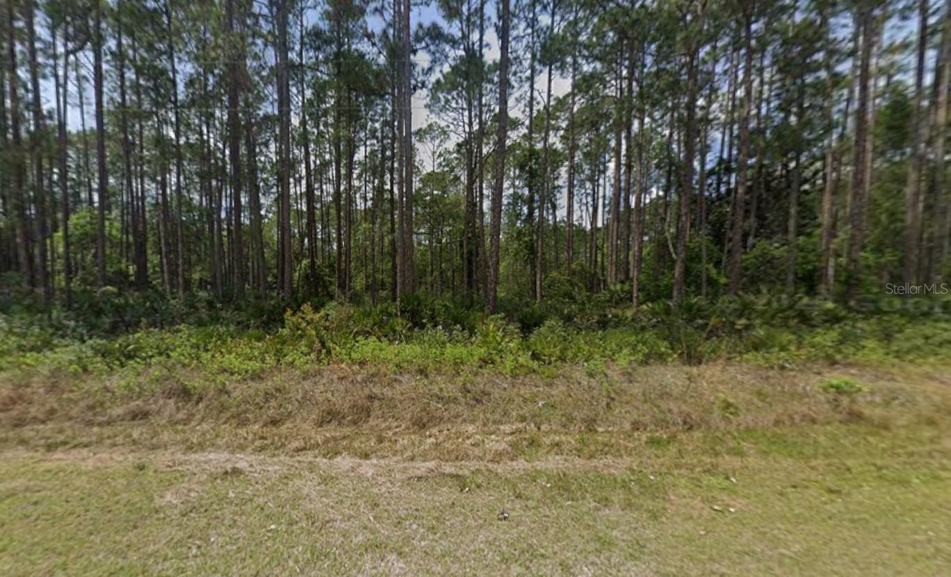 141 E BOUNDARY DR, GEORGETOWN, FL, 32139