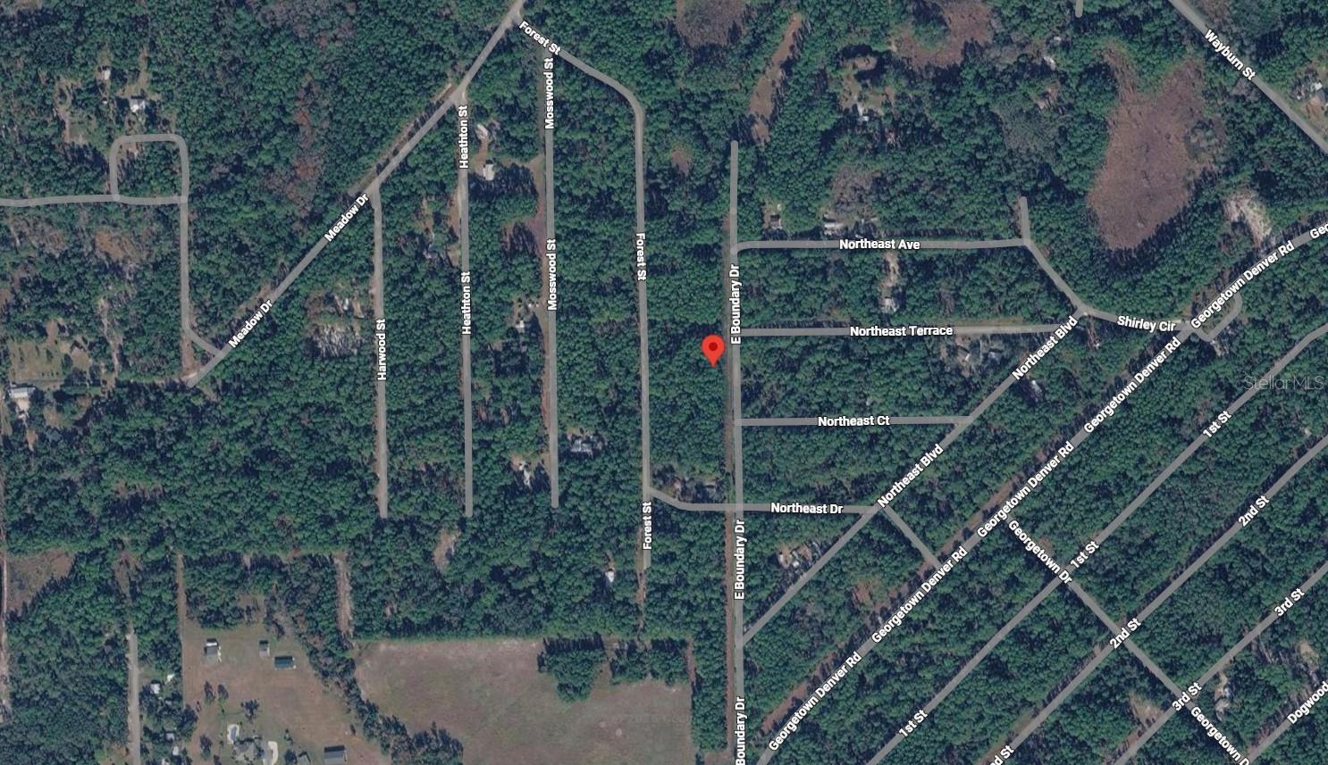 141 E BOUNDARY DR, GEORGETOWN, FL, 32139