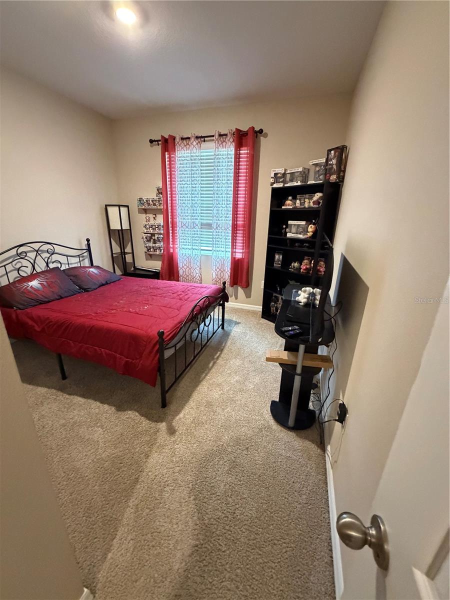 31406 MANGO FADE WAY, SAN ANTONIO, FL, 33576