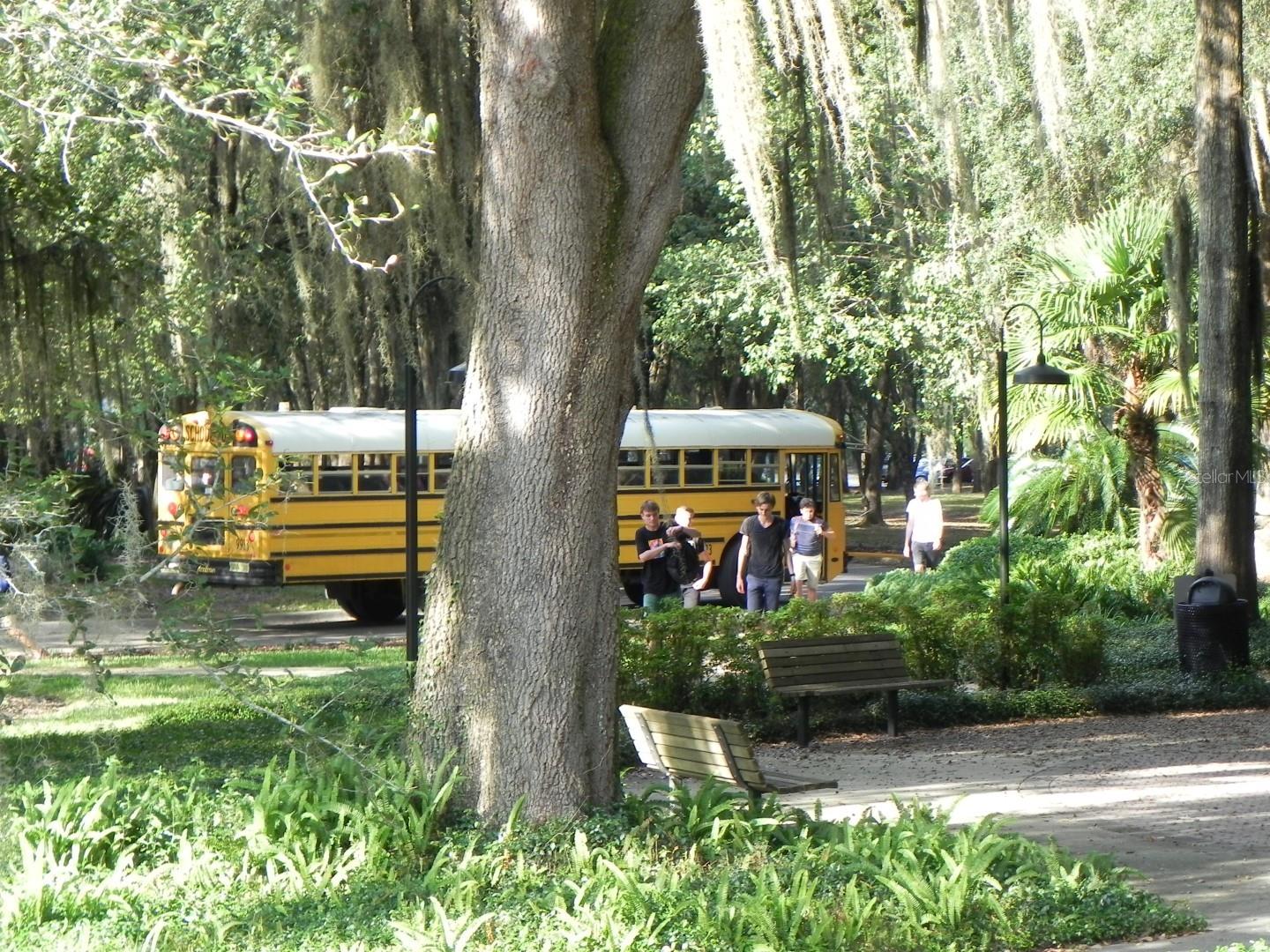 13265 SW 6TH AVE, NEWBERRY, FL, 32669