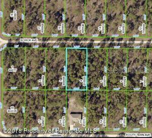 13352 SCHICK AVE, BROOKSVILLE, FL, 34614
