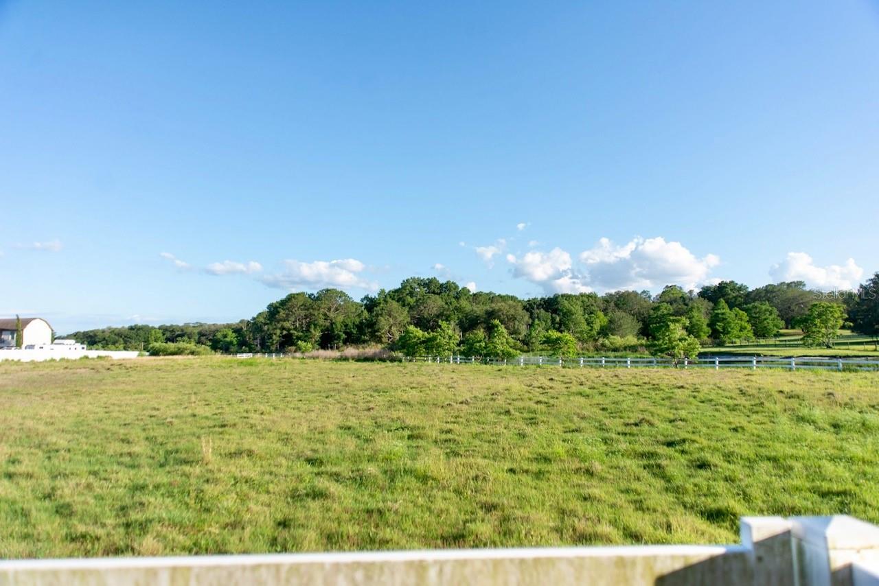 315 LAZY ACRES LN, LONGWOOD, FL, 32750