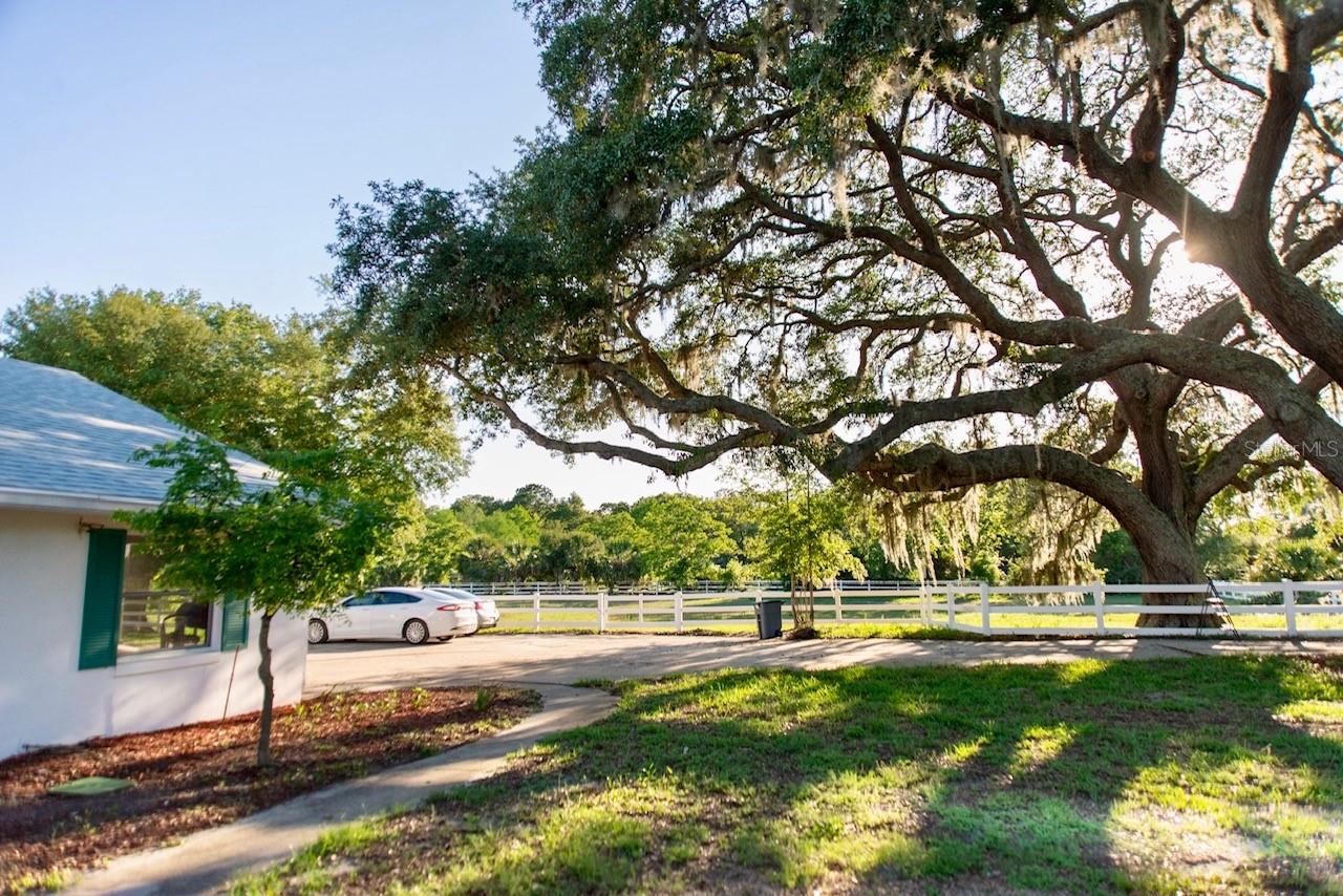 315 LAZY ACRES LN, LONGWOOD, FL, 32750