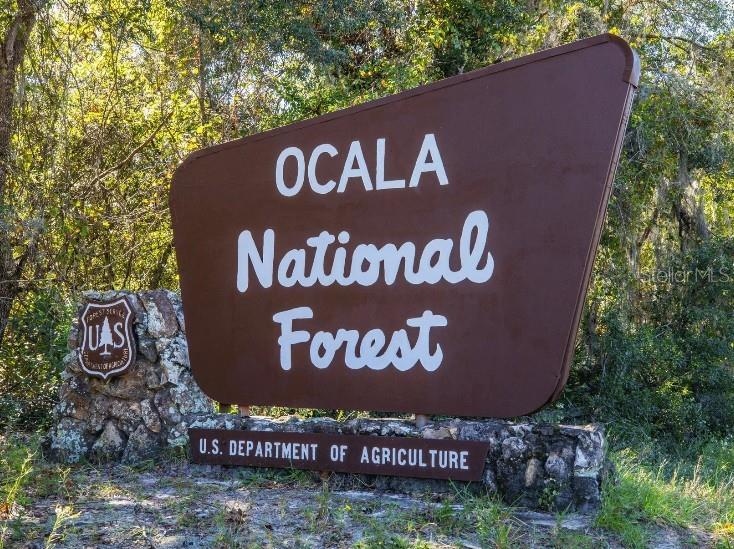 14390 SW 48TH COURT RD, OCALA, FL, 34473