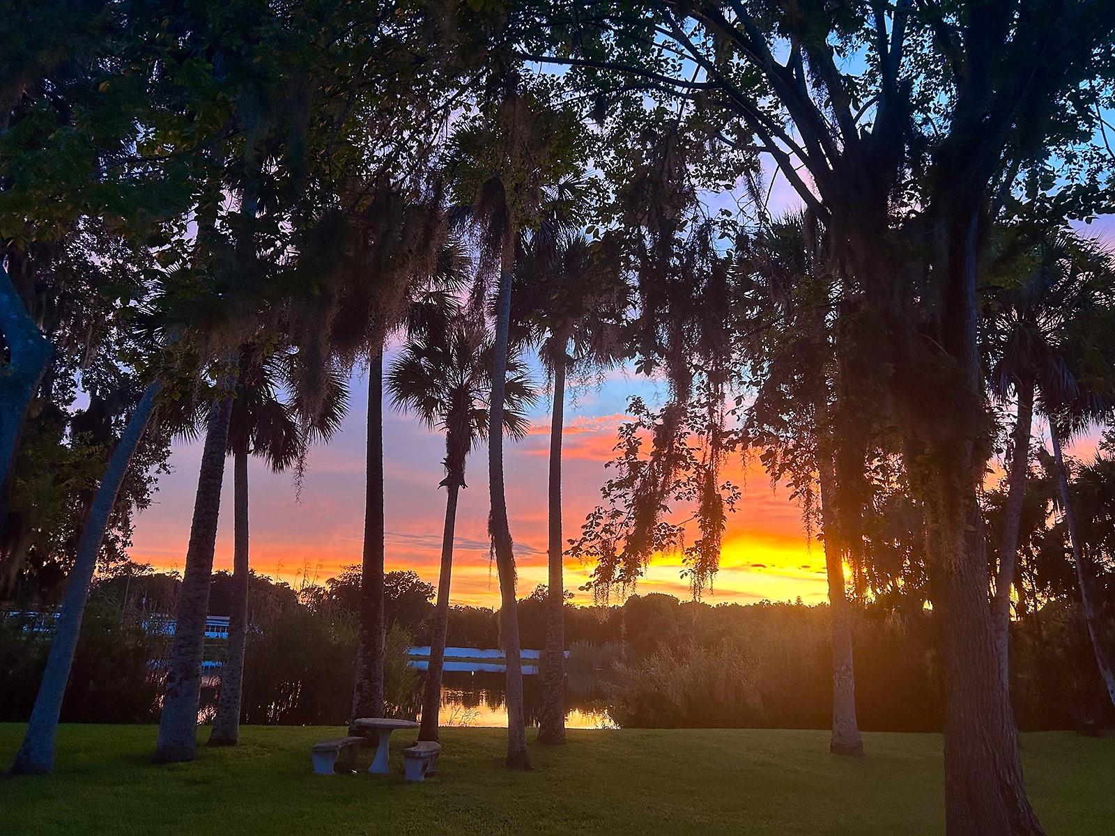 957 PINEAPPLE RD, SOUTH DAYTONA, FL, 32119