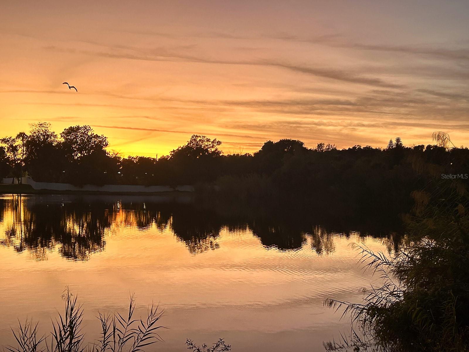 957 PINEAPPLE RD, SOUTH DAYTONA, FL, 32119