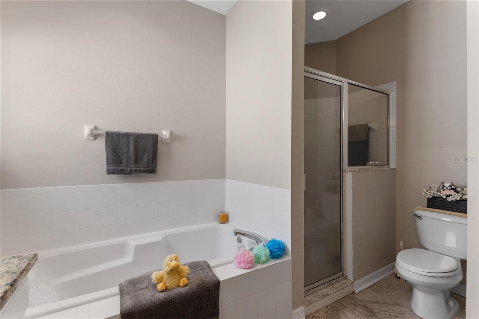 53 HIGH VISTA DR, DAVENPORT, FL, 33837