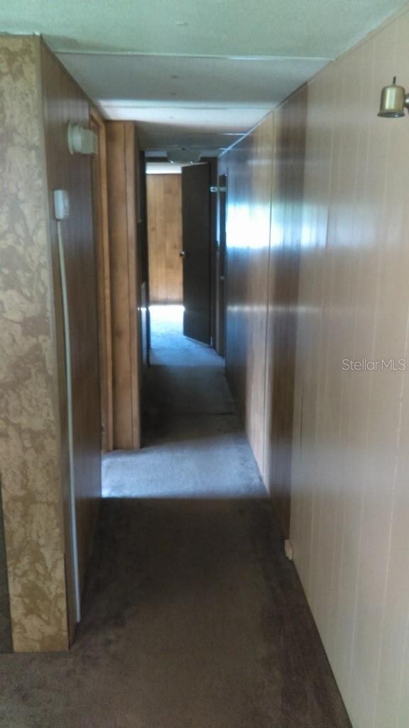 805 PETERS ST, WILDWOOD, FL, 34785