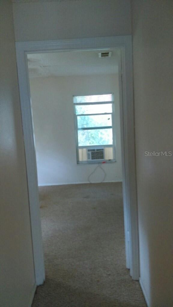 805 PETERS ST, WILDWOOD, FL, 34785