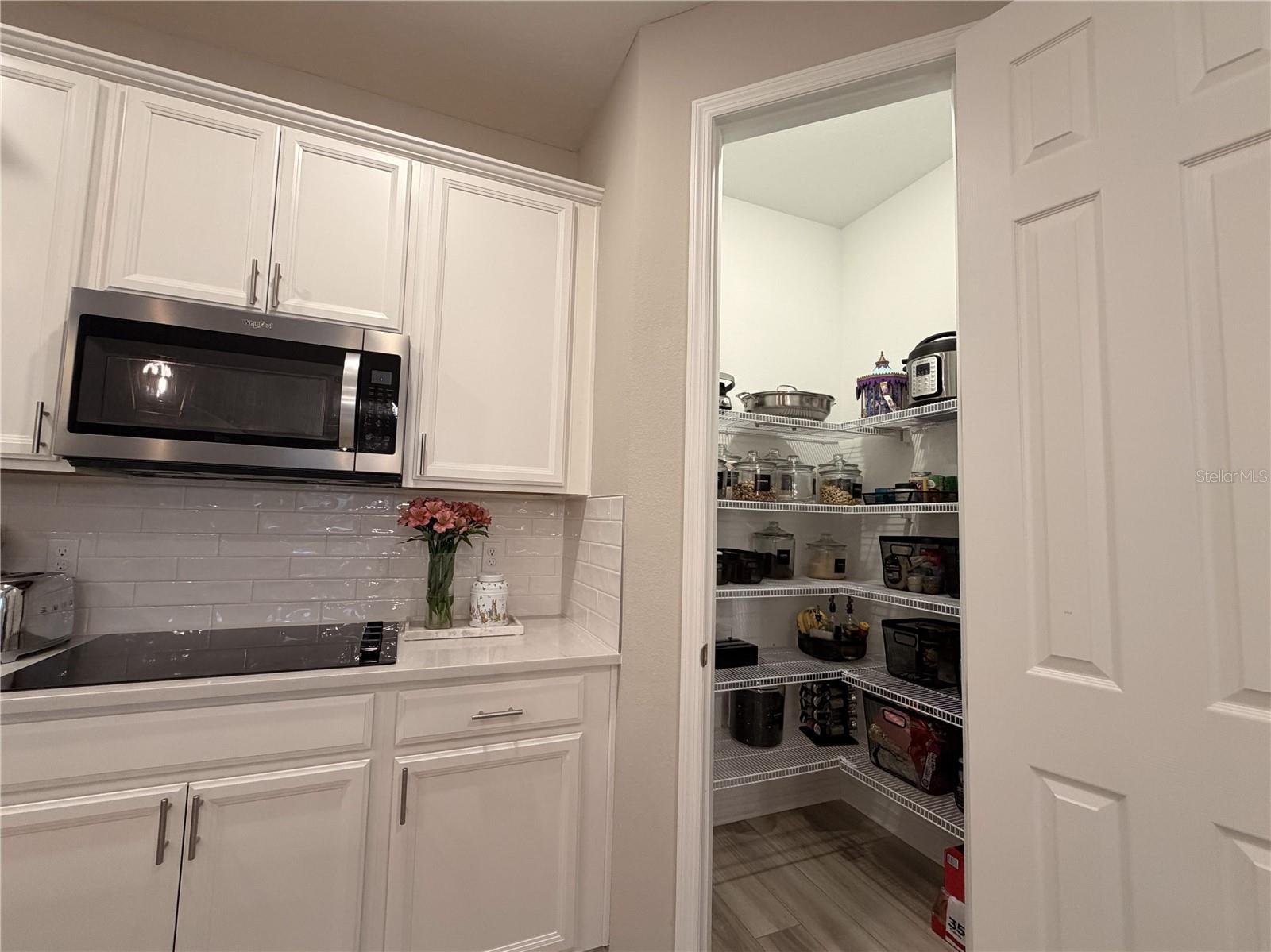 4863 LACEWING DR, WINTER GARDEN, FL, 34787