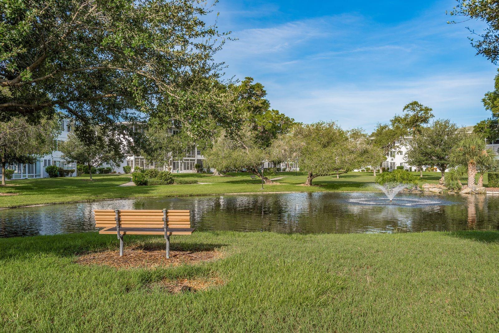 8220 112TH ST #208, SEMINOLE, FL, 33772