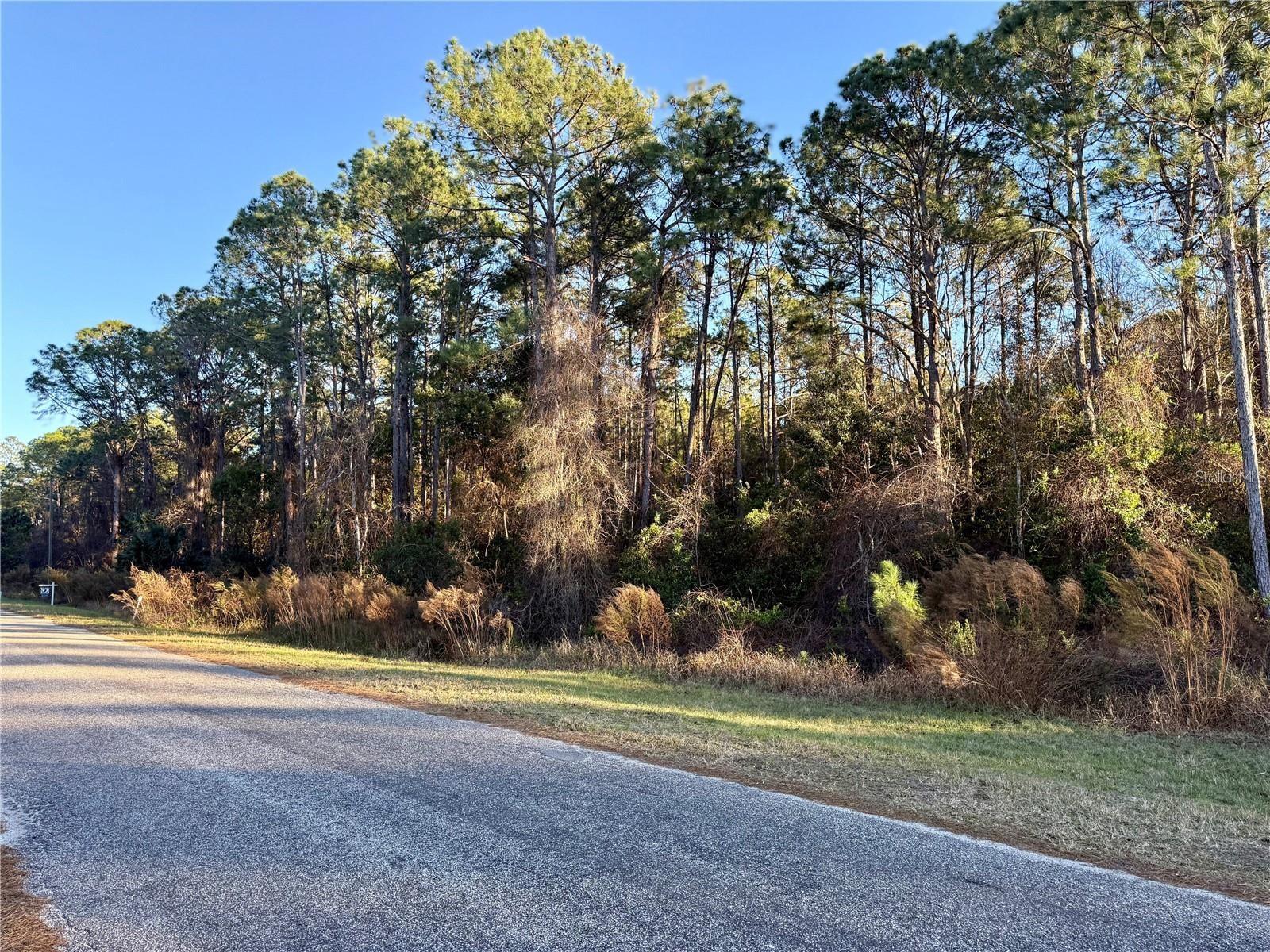 APRICOT AVE, EUSTIS, FL, 32736