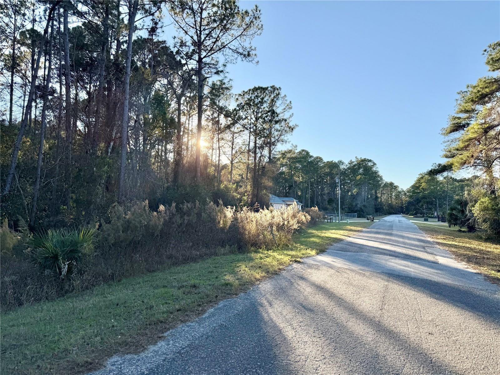 APRICOT AVE, EUSTIS, FL, 32736