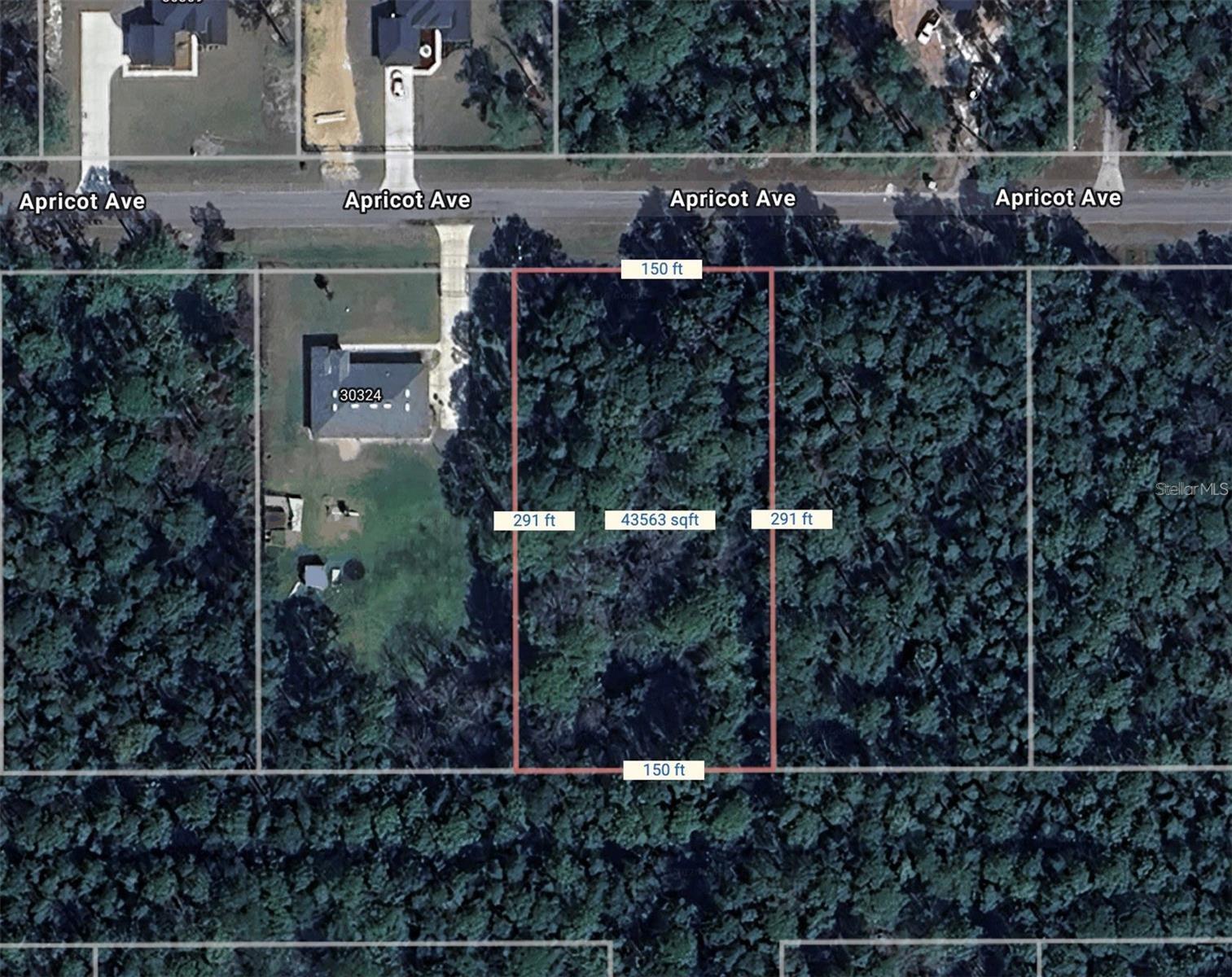 APRICOT AVE, EUSTIS, FL, 32736