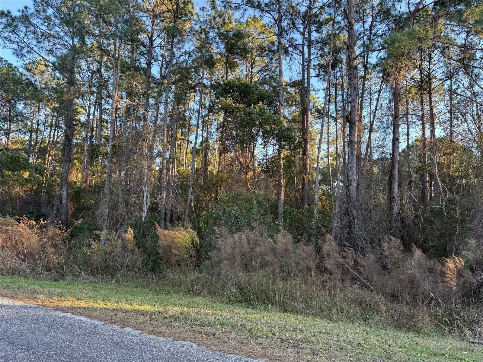 APRICOT AVE, EUSTIS, FL, 32736