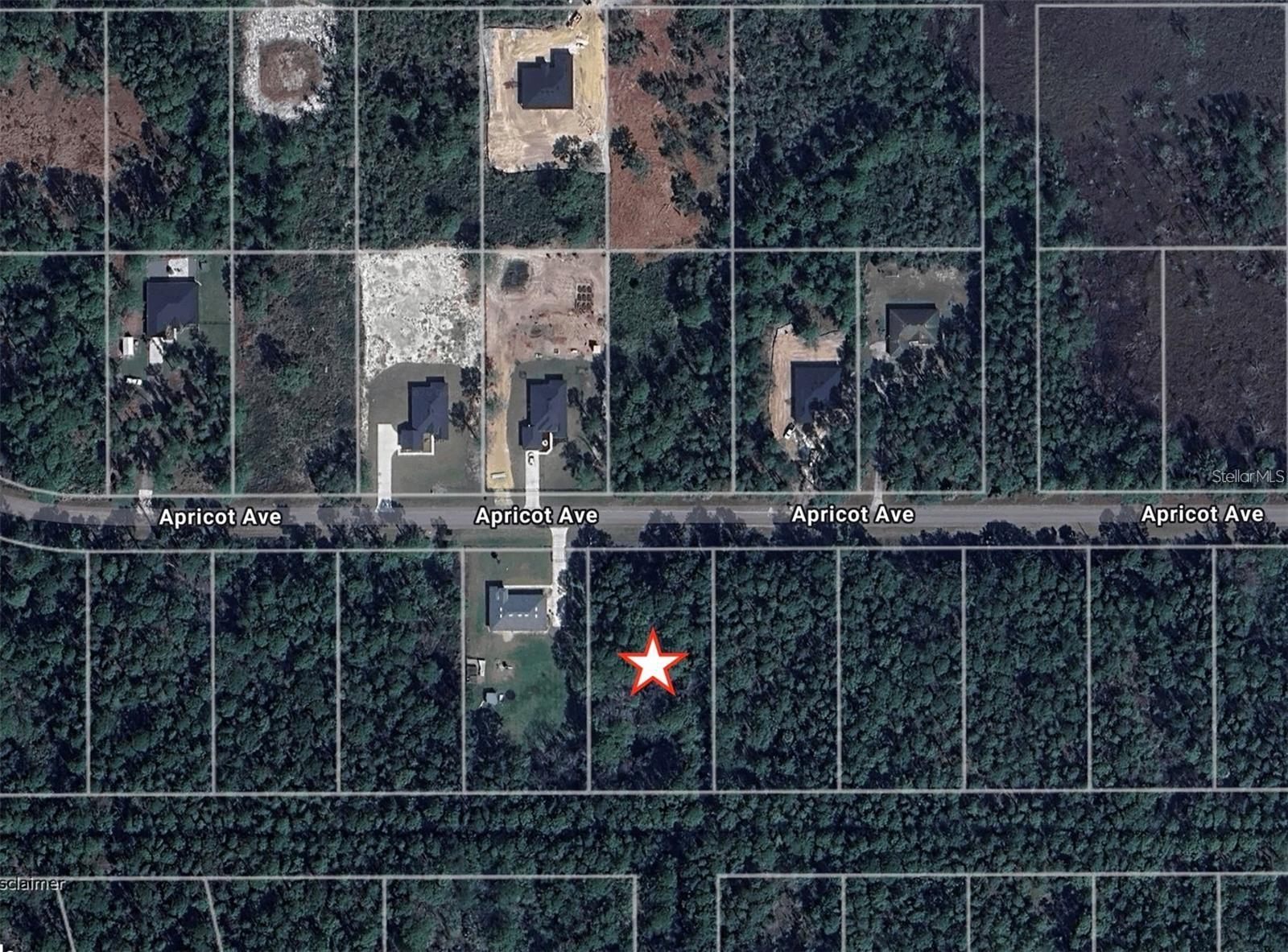 APRICOT AVE, EUSTIS, FL, 32736
