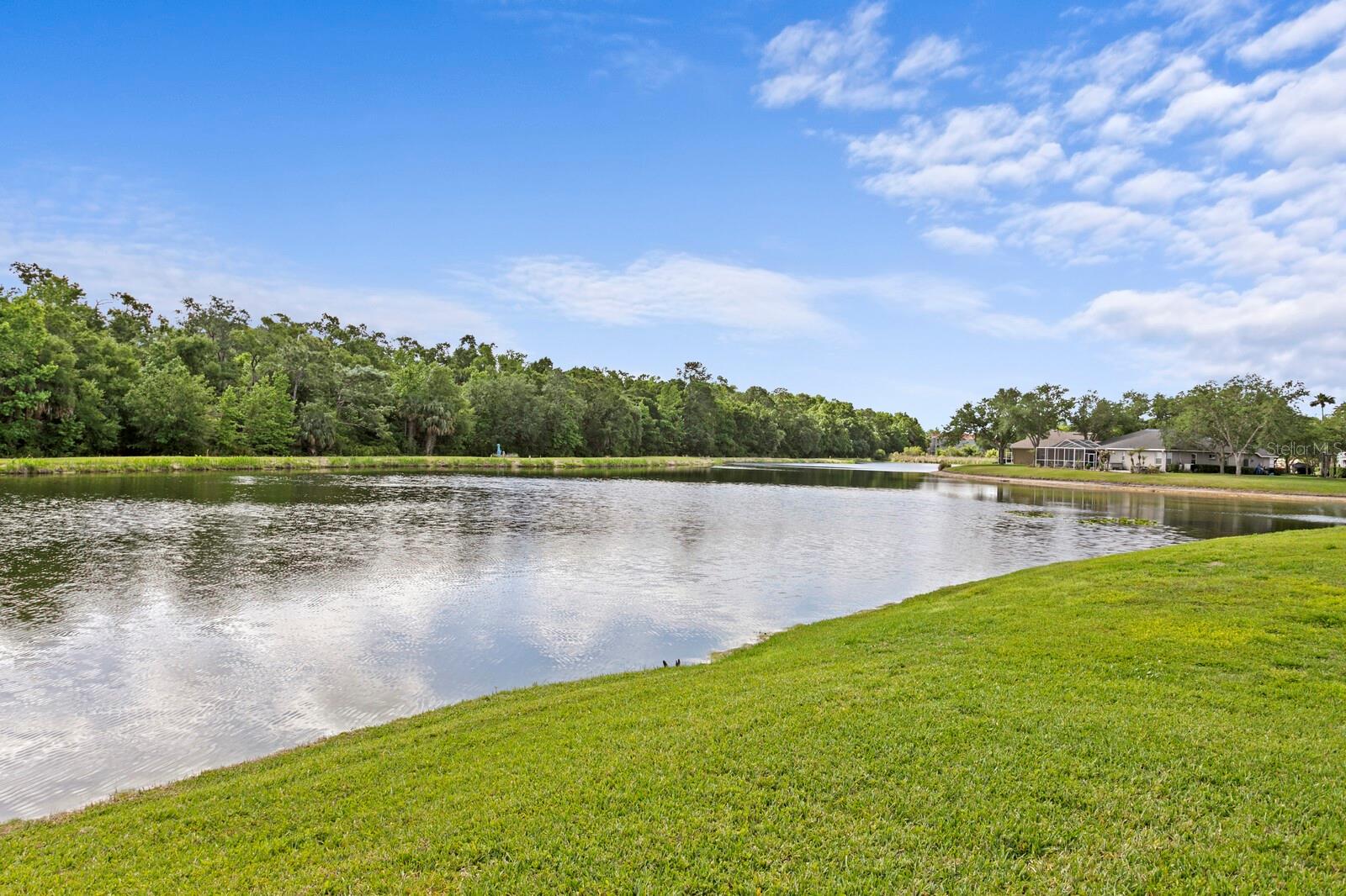 8519 PORTAGE AVE, TAMPA, FL, 33647