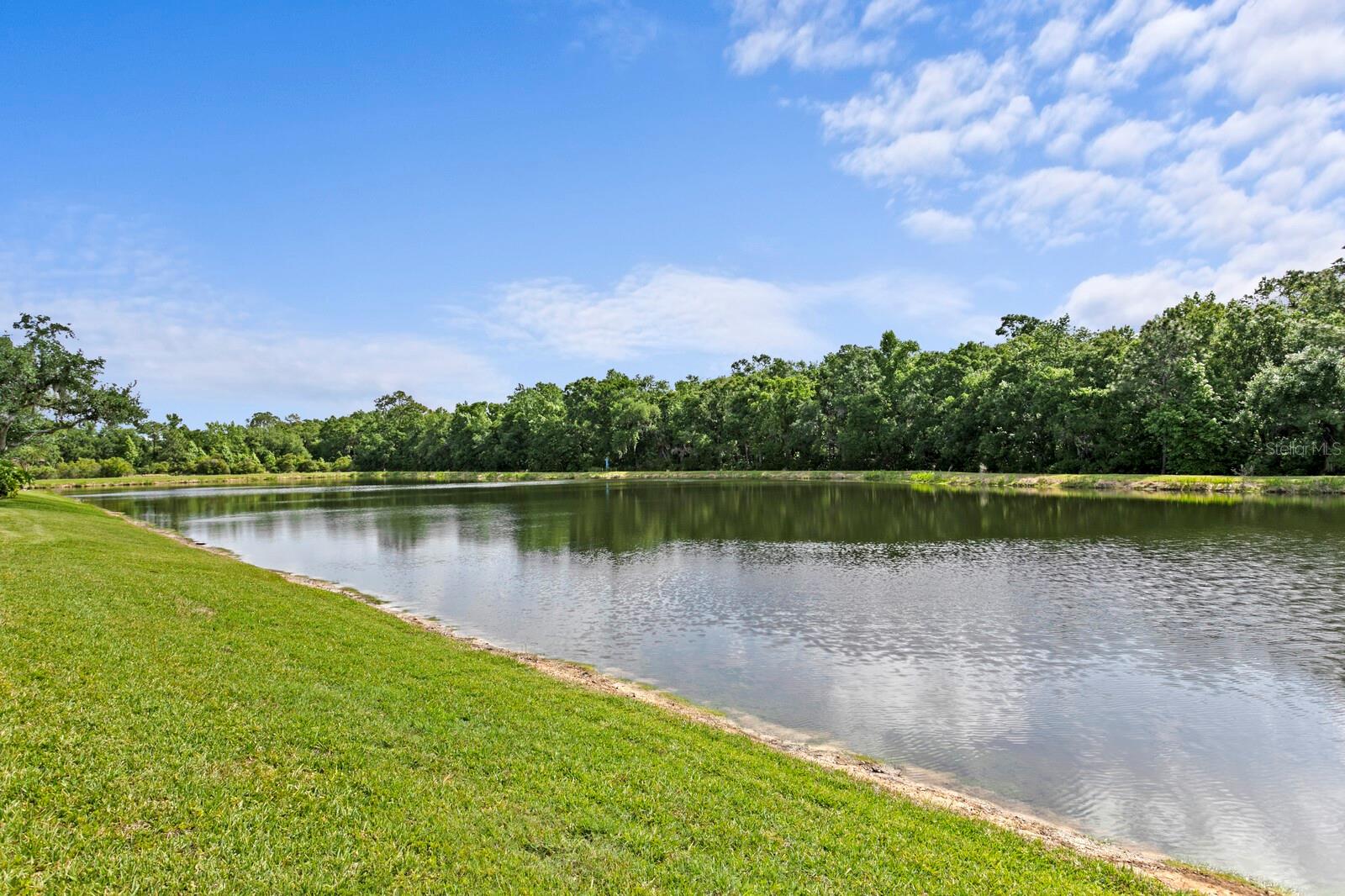 8519 PORTAGE AVE, TAMPA, FL, 33647