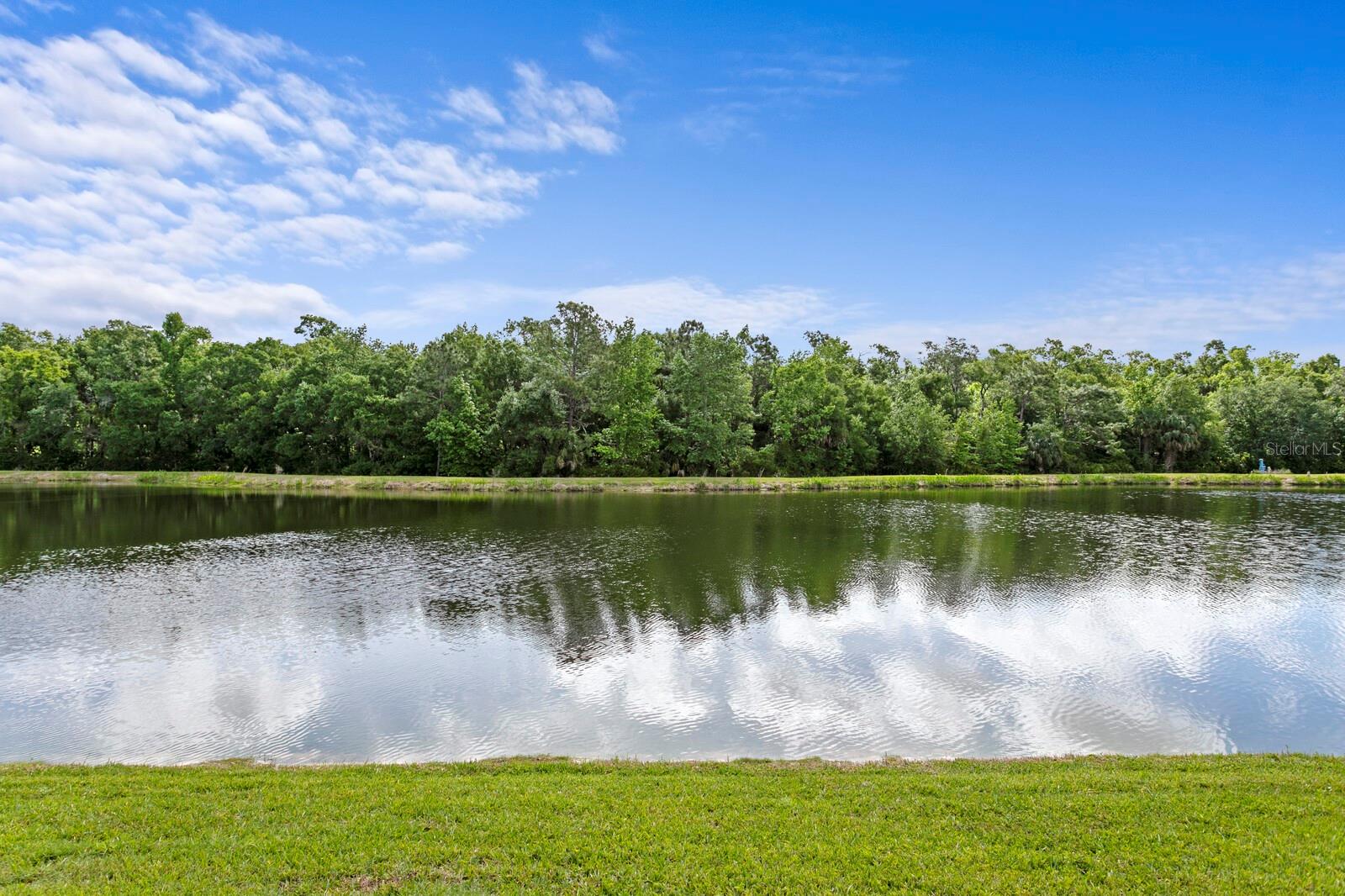 8519 PORTAGE AVE, TAMPA, FL, 33647