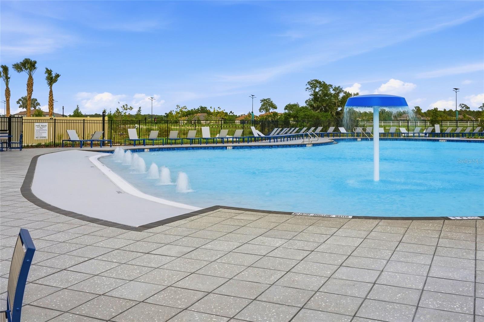 8207 RUSHTON PL, PARRISH, FL, 34219